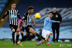 九游体育登录今晚体能课后，纽卡斯尔迎来里程碑备战法甲，话题不断，年轻球员得到机会的简单介绍